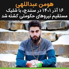 هومن عبداللهی